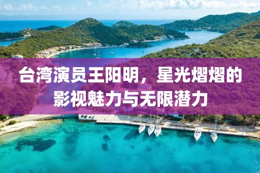 台湾演员王阳明，星光熠熠的影视魅力与无限潜力