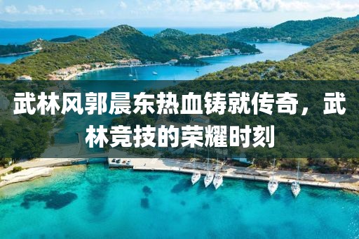 武林风郭晨东热血铸就传奇，武林竞技的荣耀时刻