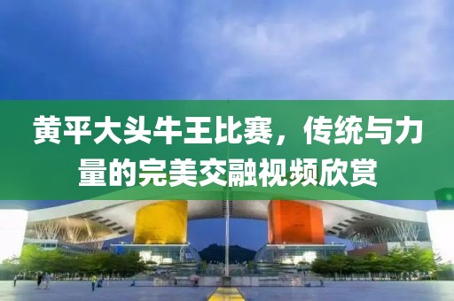 黄平大头牛王比赛，传统与力量的完美交融视频欣赏