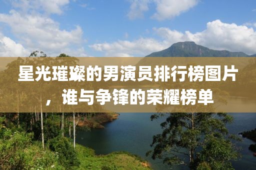 星光璀璨的男演员排行榜图片，谁与争锋的荣耀榜单