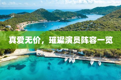 真爱无价，璀璨演员阵容一览