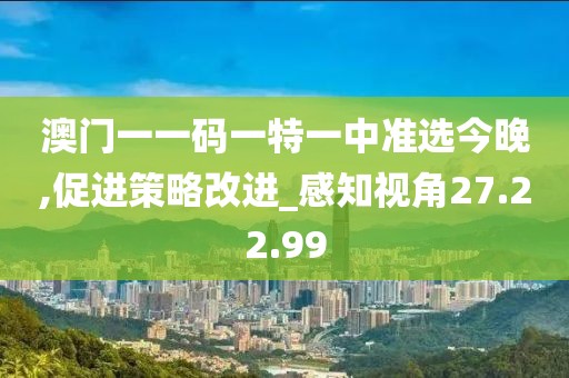 澳门一一码一特一中准选今晚,促进策略改进_感知视角27.22.99