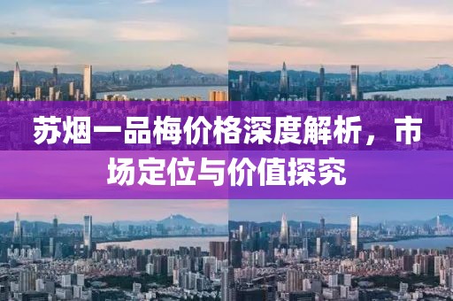 苏烟一品梅价格深度解析，市场定位与价值探究
