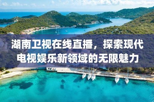湖南卫视在线直播，探索现代电视娱乐新领域的无限魅力
