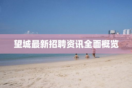 望城最新招聘资讯全面概览