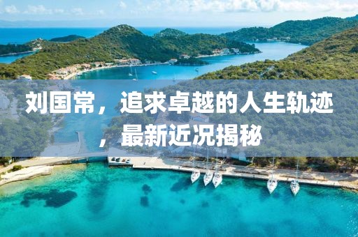 刘国常，追求卓越的人生轨迹，最新近况揭秘