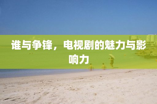 谁与争锋，电视剧的魅力与影响力