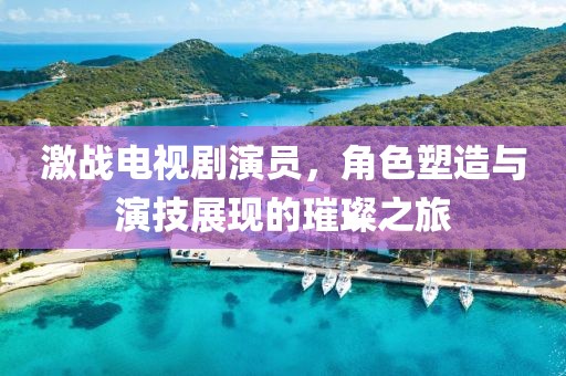 激战电视剧演员，角色塑造与演技展现的璀璨之旅