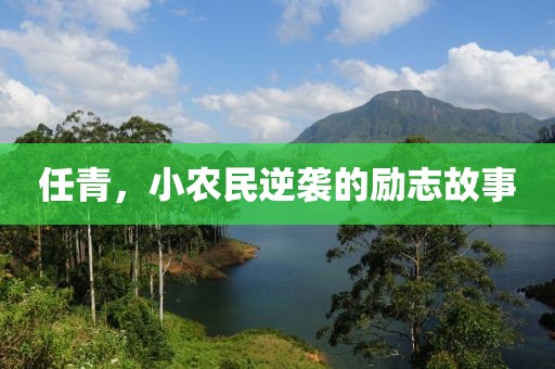 任青，小农民逆袭的励志故事