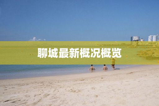 聊城最新概况概览