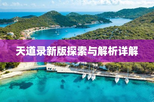 天道录新版探索与解析详解