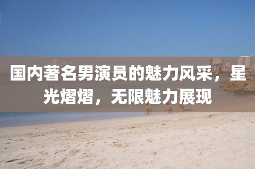 国内著名男演员的魅力风采，星光熠熠，无限魅力展现