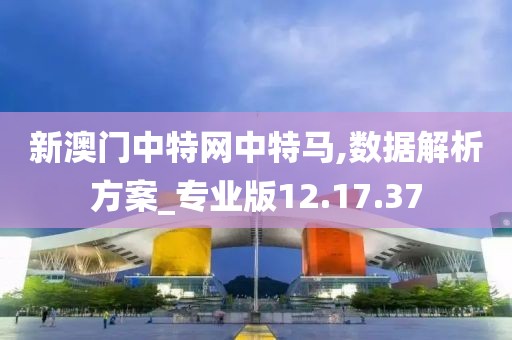 新澳门中特网中特马,数据解析方案_专业版12.17.37