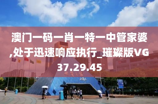 澳门一码一肖一特一中管家婆,处于迅速响应执行_璀璨版VG37.29.45