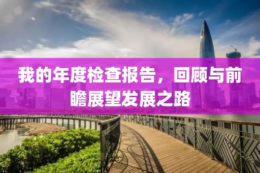 我的年度检查报告，回顾与前瞻展望发展之路