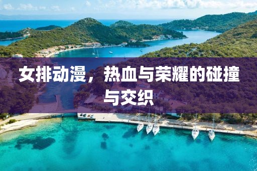 女排动漫，热血与荣耀的碰撞与交织