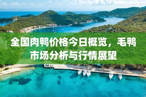 全国肉鸭价格今日概览，毛鸭市场分析与行情展望