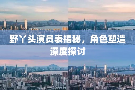 野丫头演员表揭秘，角色塑造深度探讨