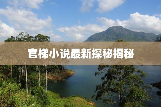 官梯小说最新探秘揭秘