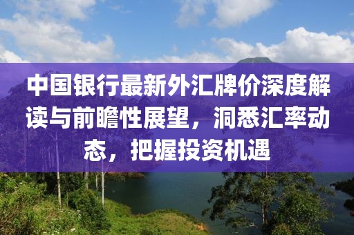 中国银行最新外汇牌价深度解读与前瞻性展望，洞悉汇率动态，把握投资机遇
