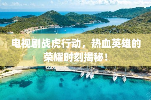 电视剧战虎行动，热血英雄的荣耀时刻揭秘！