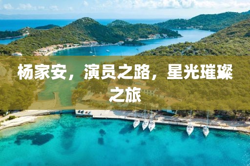 杨家安，演员之路，星光璀璨之旅