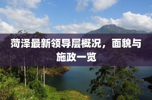 菏泽最新领导层概况，面貌与施政一览