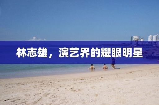 林志雄，演艺界的耀眼明星