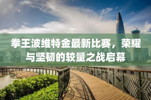 拳王波维特金最新比赛，荣耀与坚韧的较量之战启幕