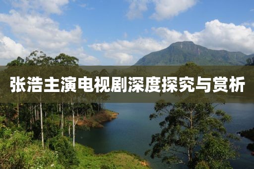 张浩主演电视剧深度探究与赏析