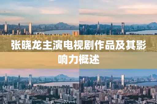 张晓龙主演电视剧作品及其影响力概述