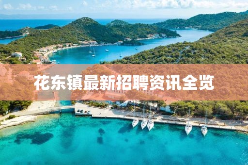 花东镇最新招聘资讯全览