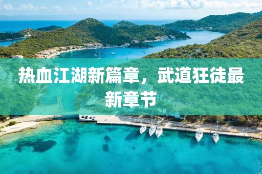 热血江湖新篇章，武道狂徒最新章节