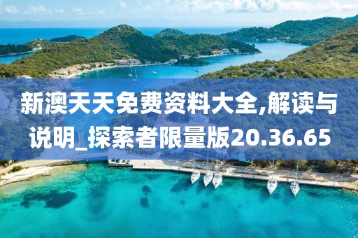 新澳天天免费资料大全,解读与说明_探索者限量版20.36.65
