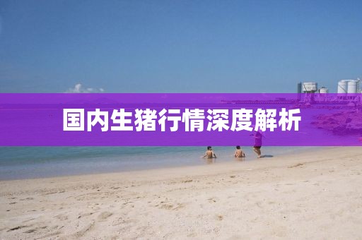 国内生猪行情深度解析