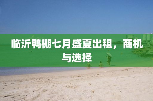 临沂鸭棚七月盛夏出租，商机与选择