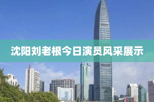 沈阳刘老根今日演员风采展示