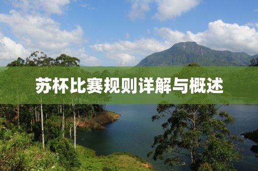 苏杯比赛规则详解与概述