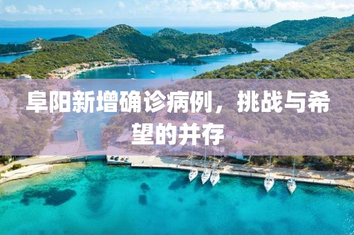 阜阳新增确诊病例，挑战与希望的并存