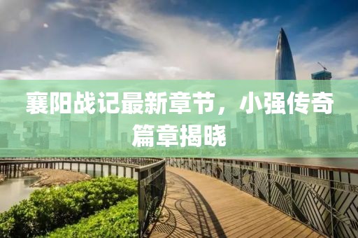 襄阳战记最新章节，小强传奇篇章揭晓