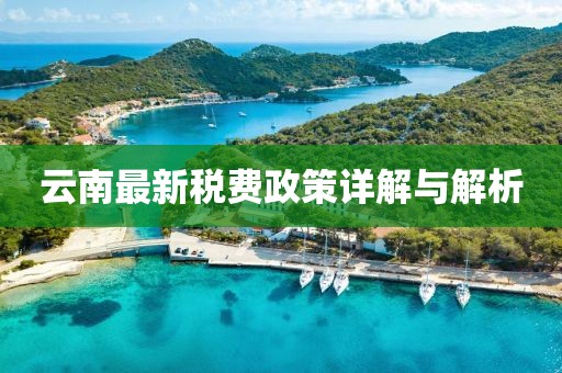 云南最新税费政策详解与解析