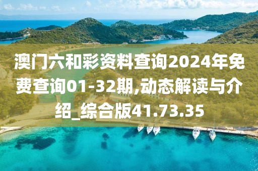 澳门六和彩资料查询2024年免费查询01-32期,动态解读与介绍_综合版41.73.35