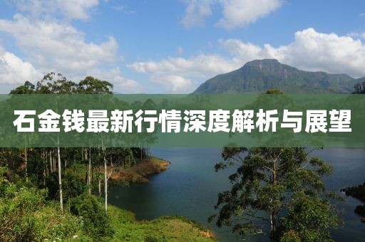 石金钱最新行情深度解析与展望