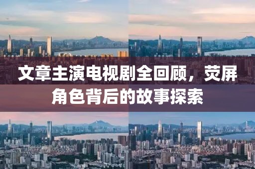 文章主演电视剧全回顾，荧屏角色背后的故事探索