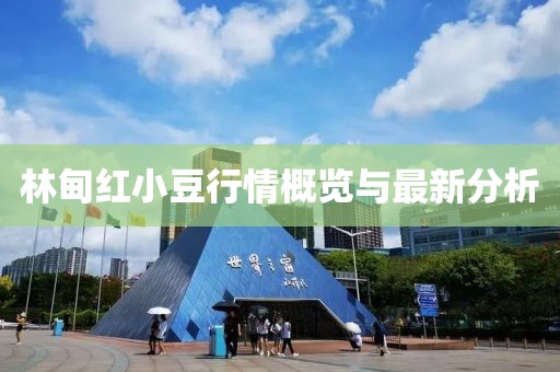 林甸红小豆行情概览与最新分析
