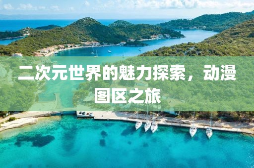 二次元世界的魅力探索，动漫图区之旅