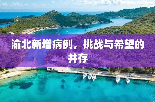 渝北新增病例，挑战与希望的并存