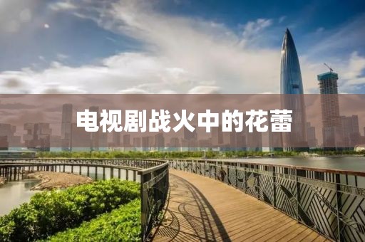 电视剧战火中的花蕾