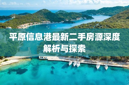 平原信息港最新二手房源深度解析与探索