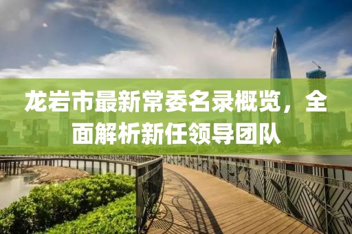 龙岩市最新常委名录概览，全面解析新任领导团队